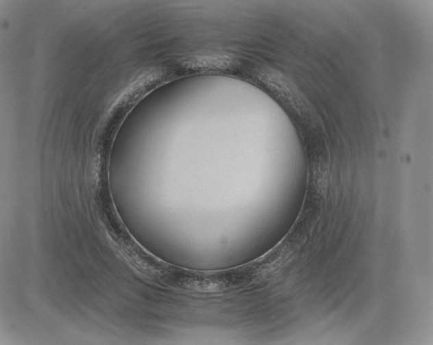 X0000081290735200701251652