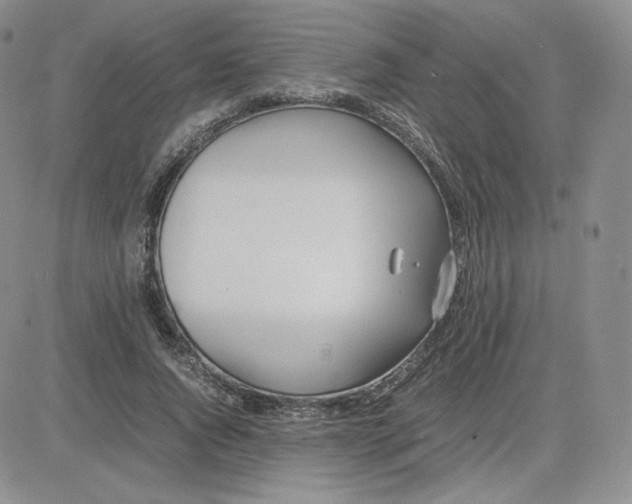 X0000081290736200701251652