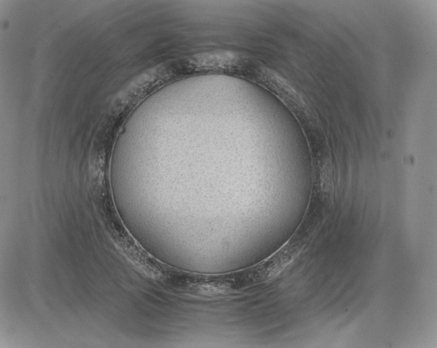 X0000081290737200701251652