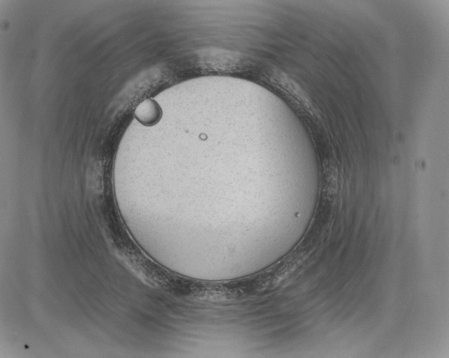 X0000081290738200701251652