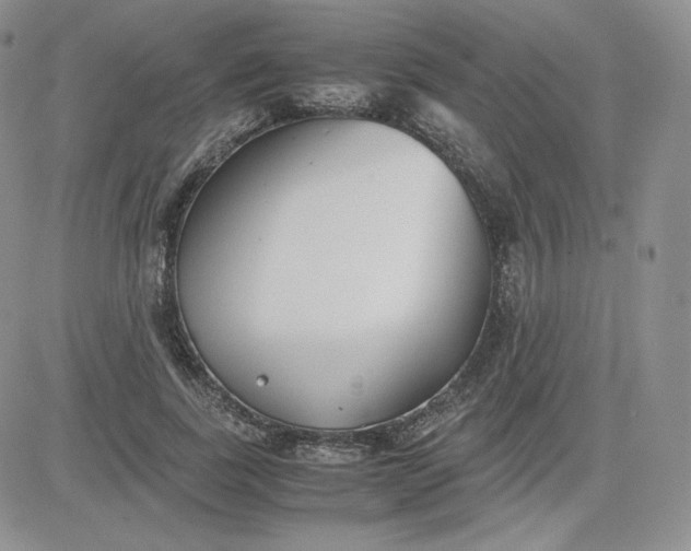 X0000081290739200701251652