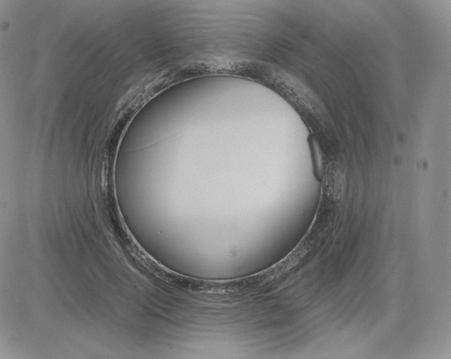 X0000081290740200701251652