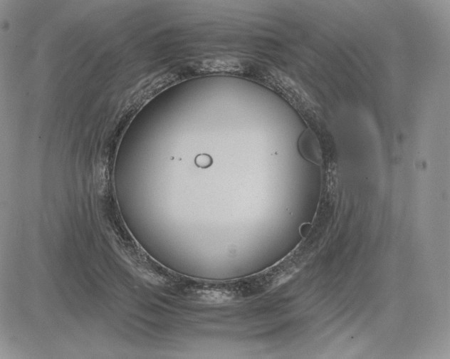 X0000081290741200701251652