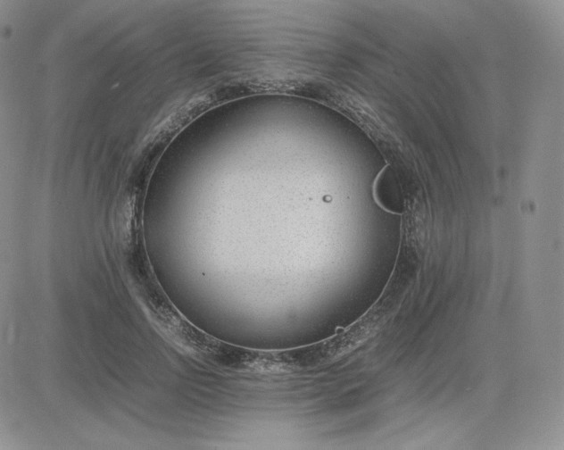 X0000081290742200701251652