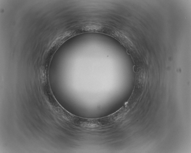 X0000081290743200701251652