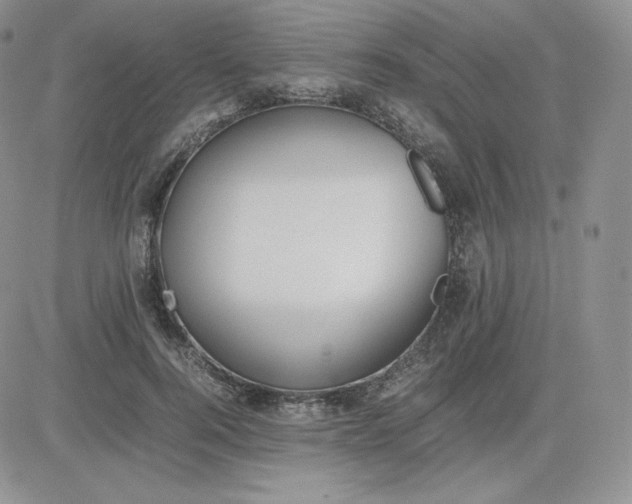 X0000081290744200701251652