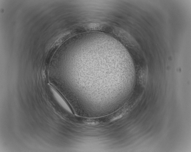 X0000081290746200701251652