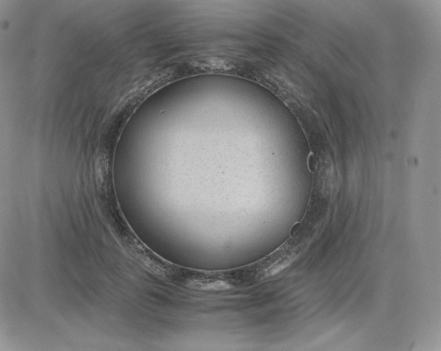 X0000081290747200701251652