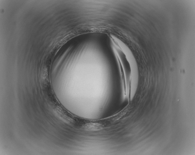 X0000081290748200701251652