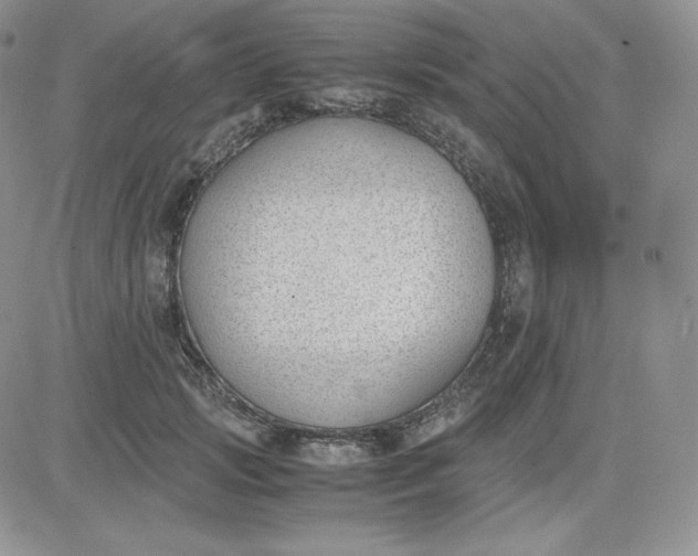 X0000081290749200701251652