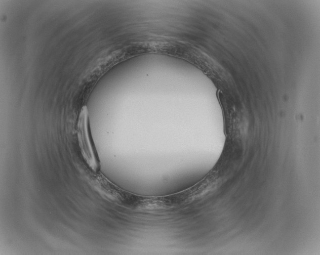 X0000081290750200701251652