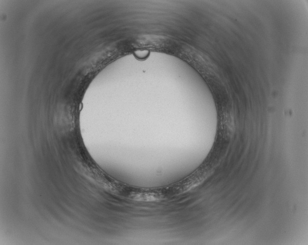 X0000081290751200701251652