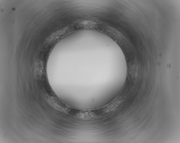 X0000081290752200701251652