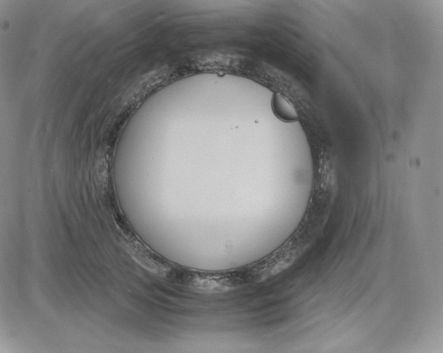 X0000081290753200701251652