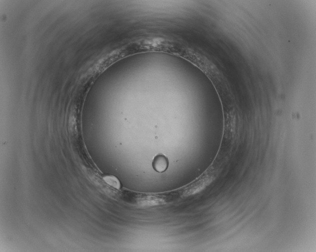 X0000081290754200701251652