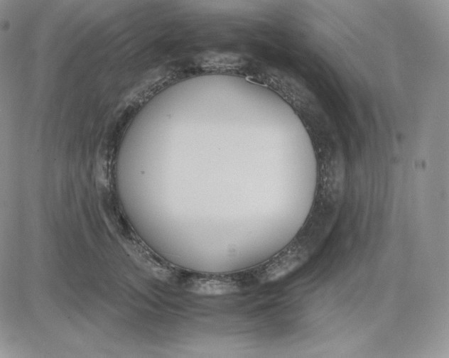 X0000081290755200701251652