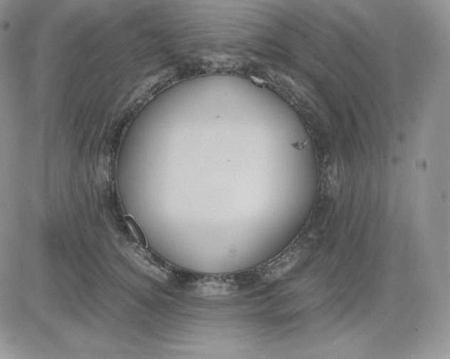 X0000081290756200701251652