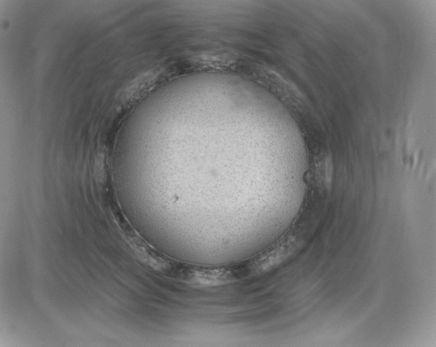 X0000081290757200701251652