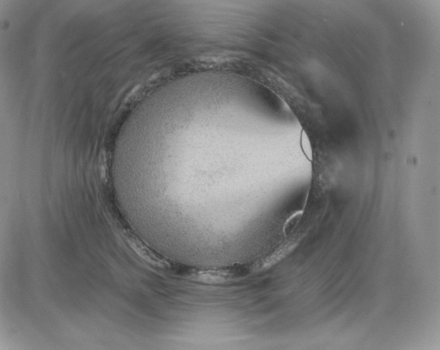 X0000081290758200701251652