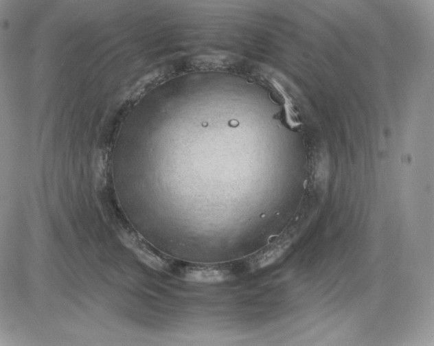 X0000081290759200701251652