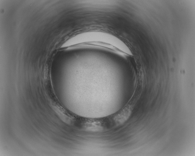 X0000081290760200701251653