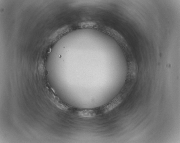 X0000081290761200701251653