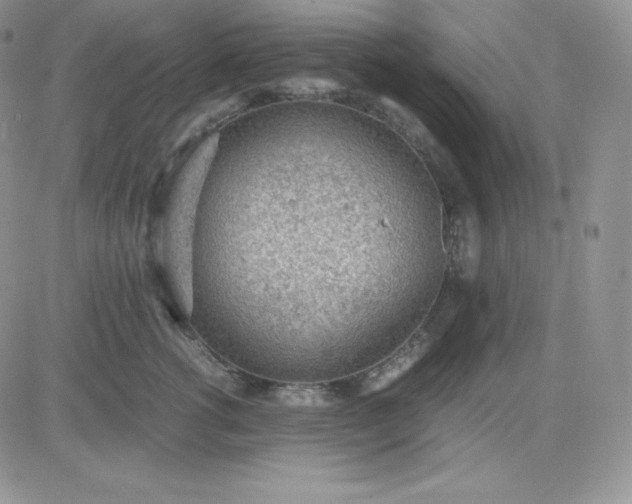 X0000081290762200701251653