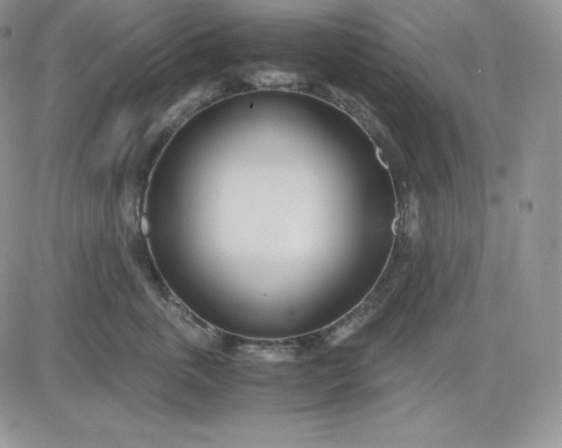 X0000081290763200701251653