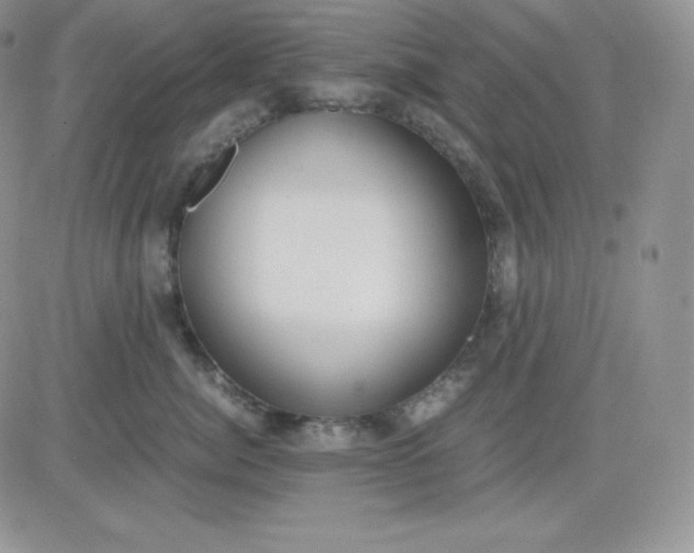 X0000081290764200701251653