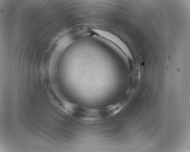 X0000081290766200701251653