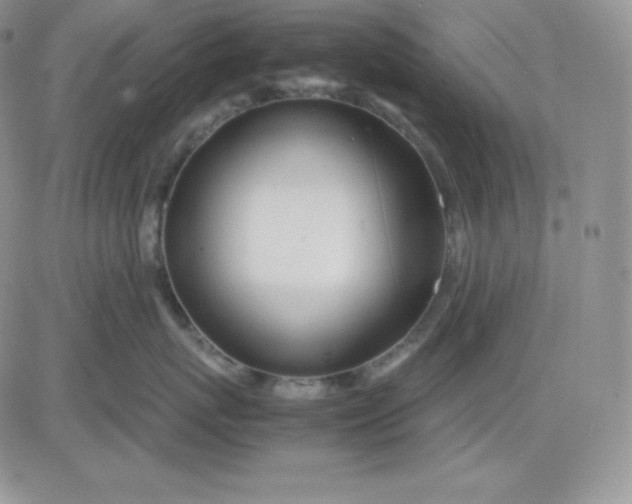 X0000081290767200701251653