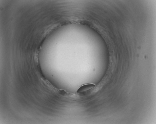 X0000081290768200701251653