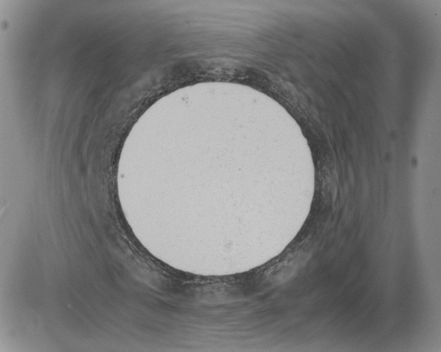 X0000081290769200701251652