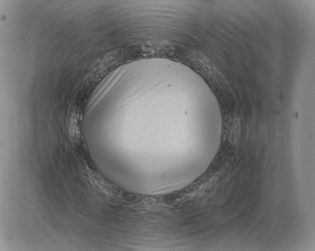 X0000081290770200701251652