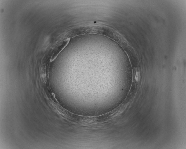 X0000081290771200701251652