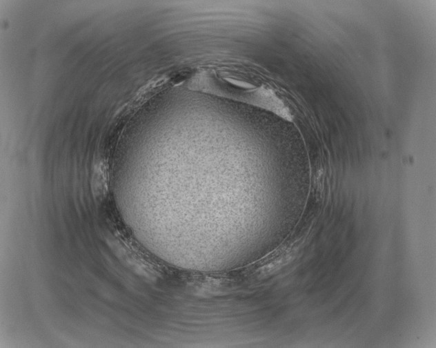 X0000081290772200701251652