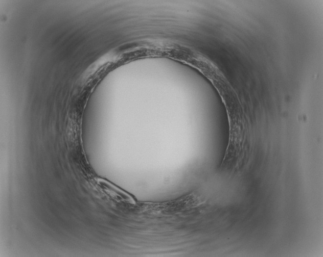 X0000081290773200701251652