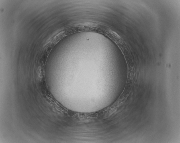 X0000081290774200701251652