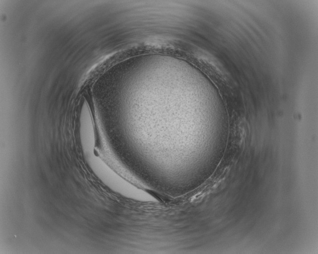 X0000081290776200701251652