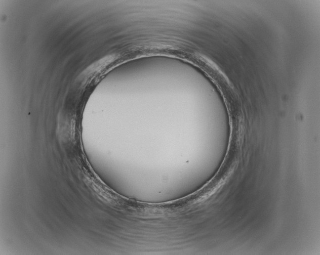 X0000081290777200701251652