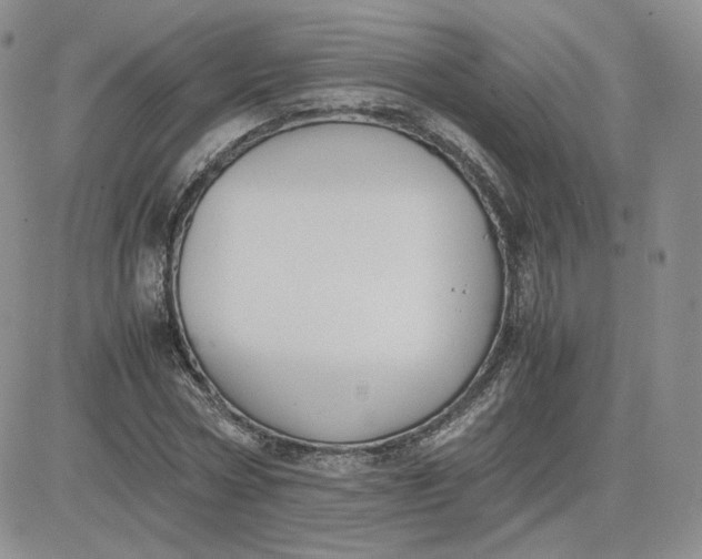 X0000081290778200701251652