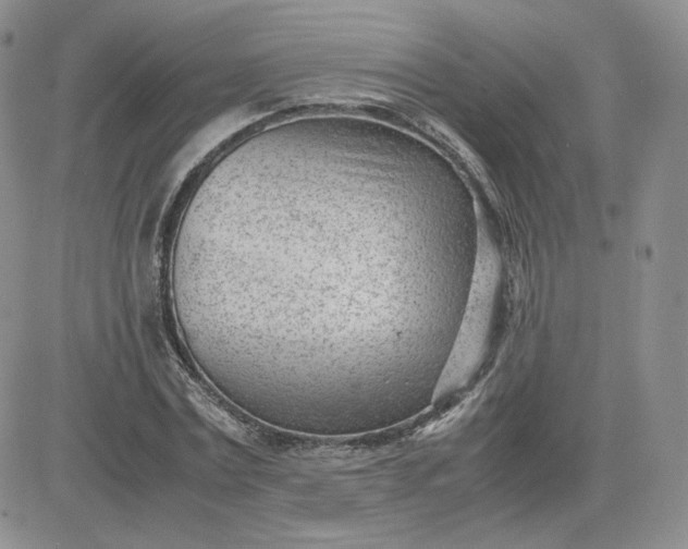 X0000081290779200701251652