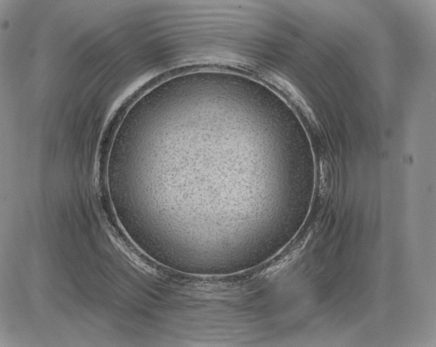 X0000081290780200701251652