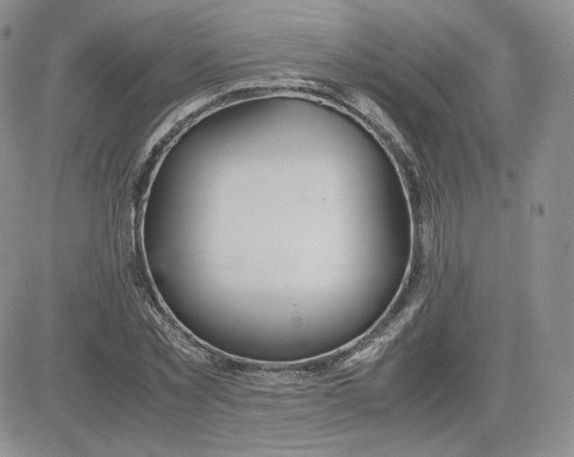 X0000081290781200701251652