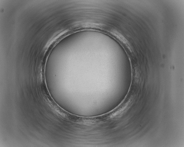 X0000081290782200701251652