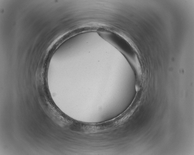 X0000081290783200701251652