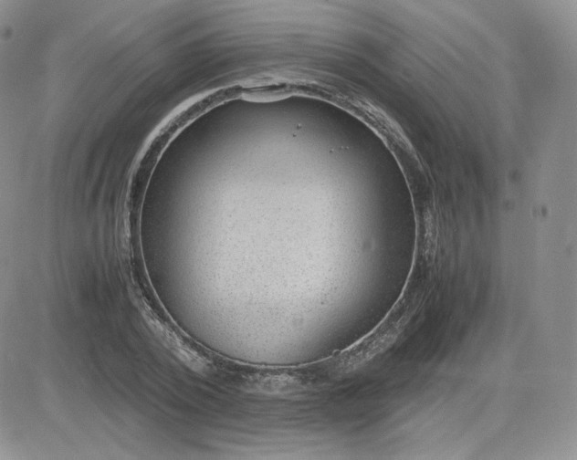 X0000081290784200701251652