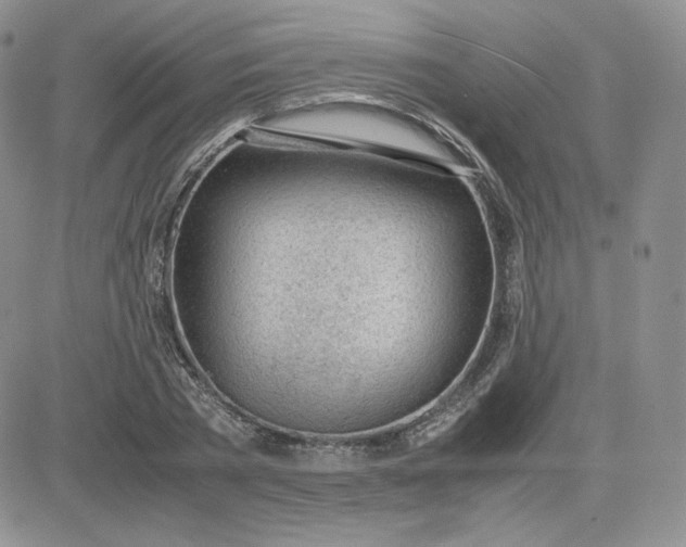 X0000081290785200701251652