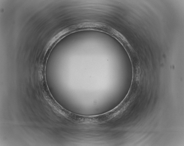 X0000081290786200701251652