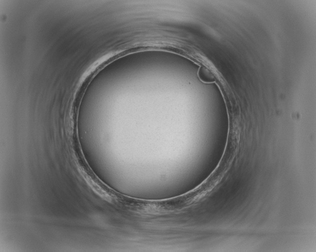 X0000081290787200701251652